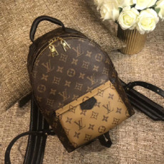  Louis Vuitton 루이비통 팜스프링 백팩 M44870