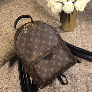 Louis Vuitton 루이비통 팜스프링 백팩 M44871