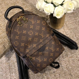 Louis Vuitton 루이비통 팜스프링스 백팩 M41560