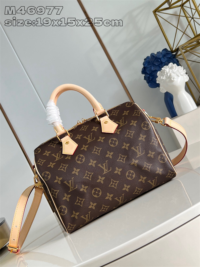 LOUIS VUITTON 루이비통 스피디 반둘리에 25 M46977 2024/신상